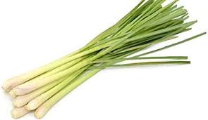 Lemon Grass 100g