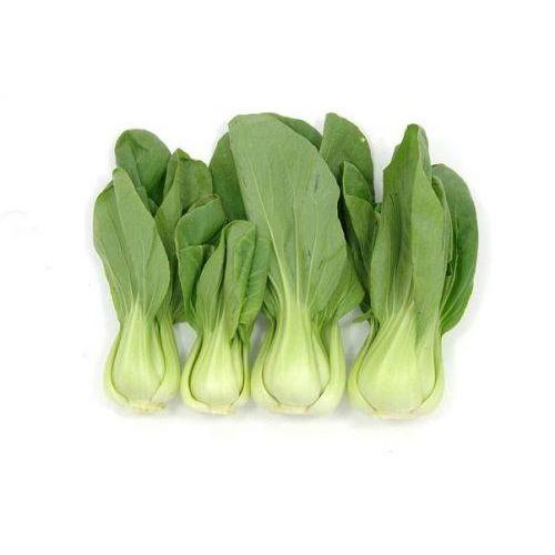 Green Pak choi 500g