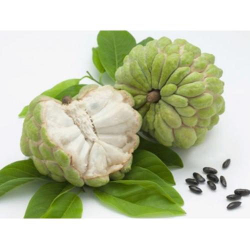 Sugar Apple each 