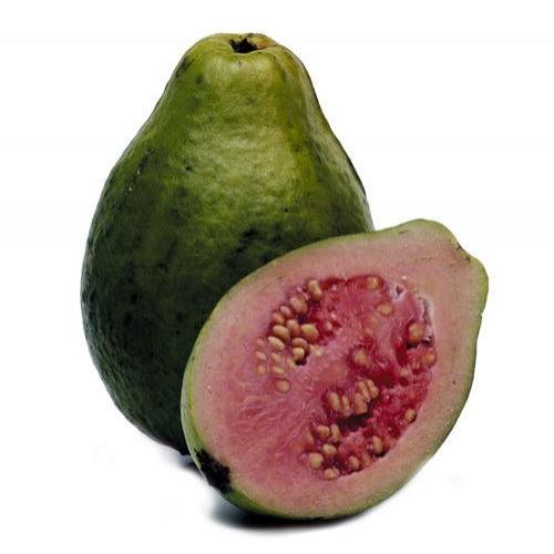 Egypro Guava 2