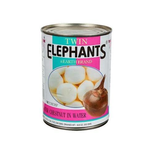 Twin Elephants & Earth Brand Water Chestnut in Water 540g